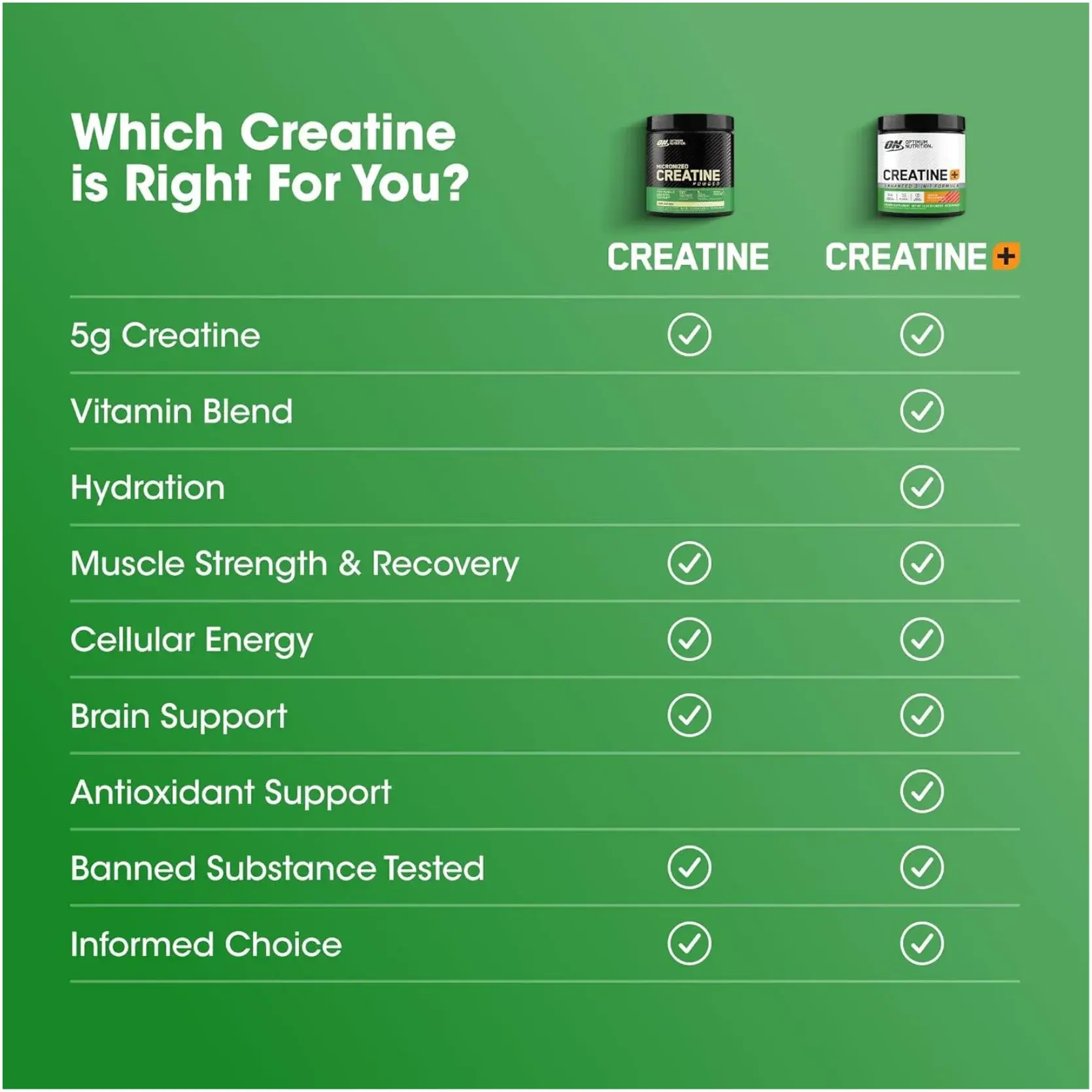 Optimum Nutrition Micronised Creatine Monohydrate Muscle Strength Powder 300g