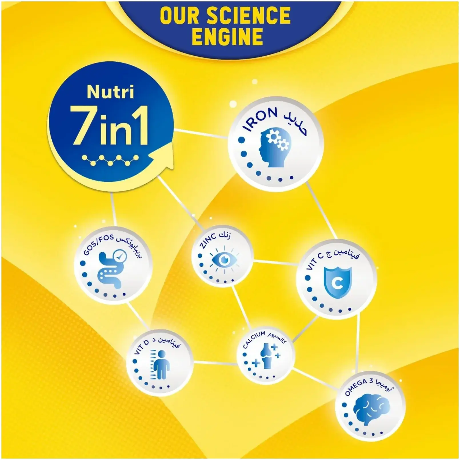 Bebelac Junior Nutri 7-in-1 Stage 3 Toddler Growing-Up Milk Formula 1-3 Years 400g
