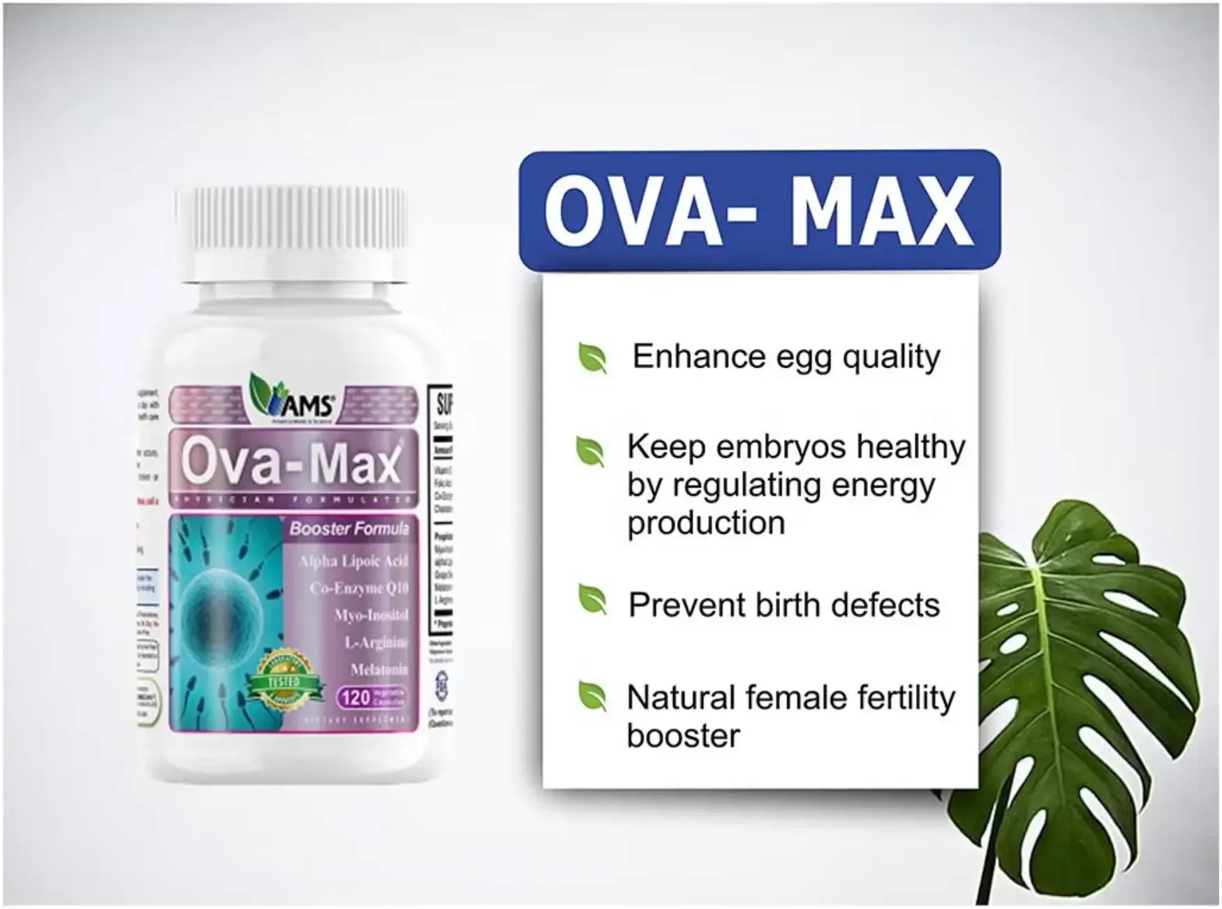 AMS Ova-Max Women's Fertility & Ovarian Health Support Capsules 120s