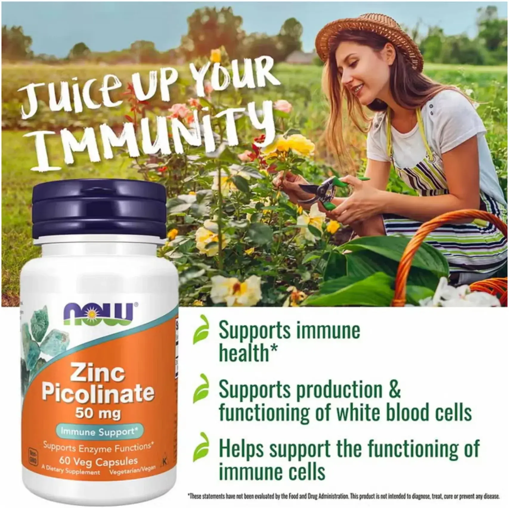 Now Zinc Picolinate 50mg Highly Absorbable Immune Support Capsules 60s