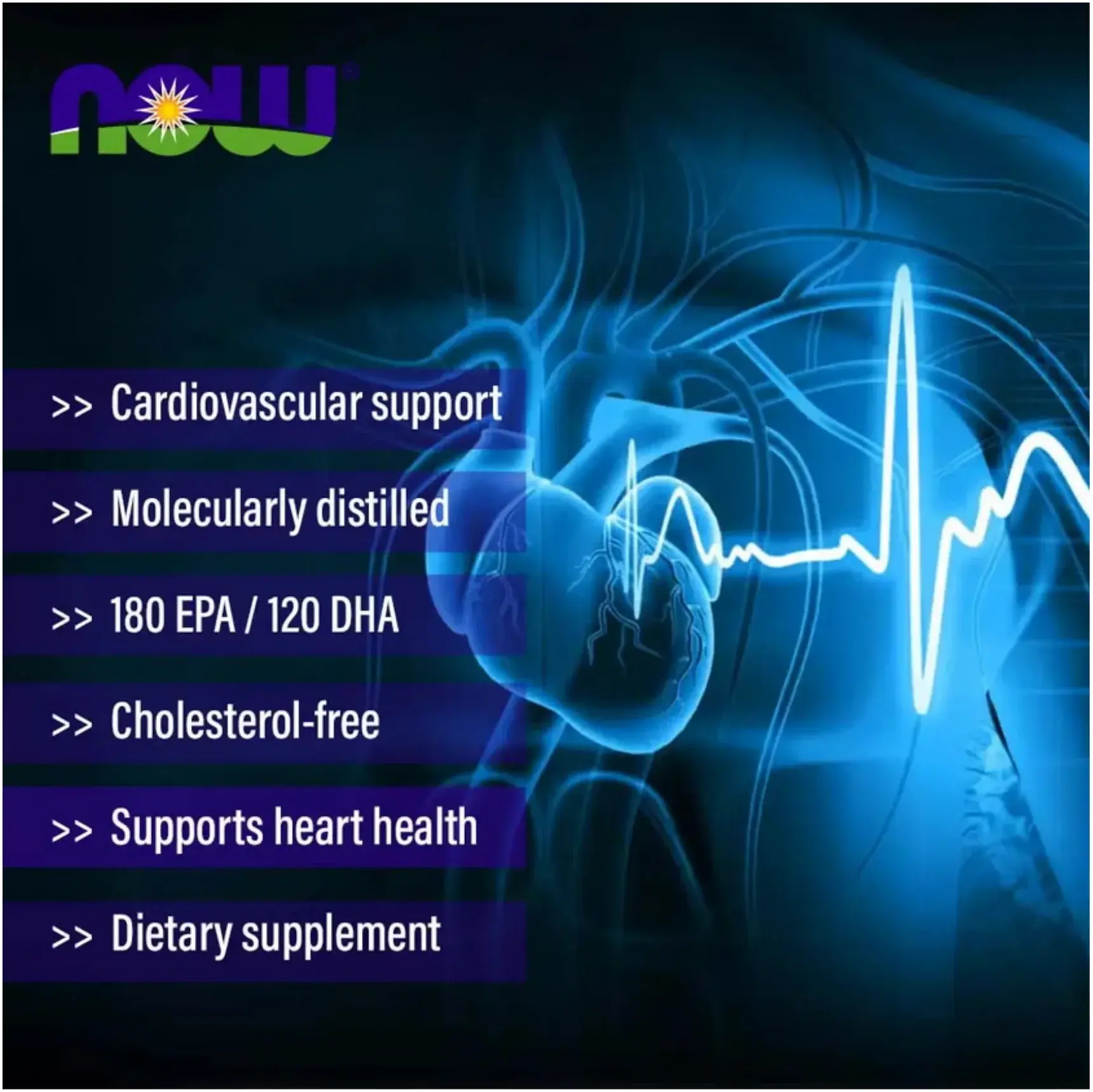 Now Omega-3 Fish Oil 1000mg Heart & Brain Health Softgels 100s